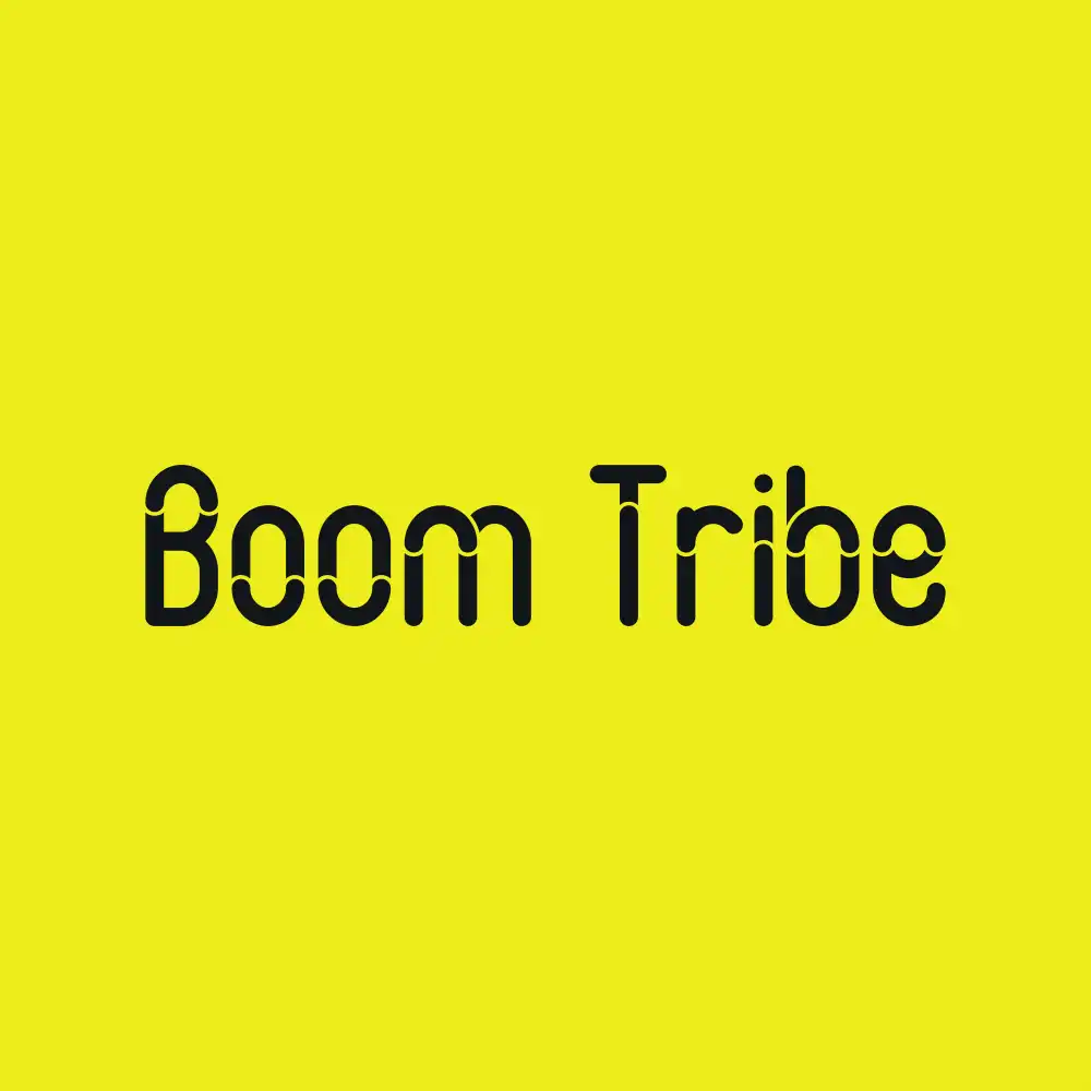 Boom Tribe Web3domain Example Template